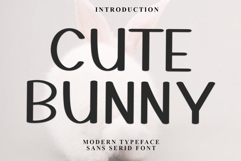 Cute Bunny Product Image 1
