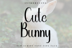 Cute Bunny Product Image 1