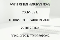 Cute Bunny Product Image 4