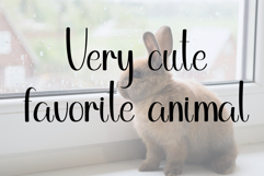 Cute Bunny Product Image 5