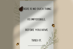 Cute Bunny Product Image 7