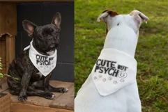 Cute But Psycho Dog Bandana SVG Funny Quote Design Cricut