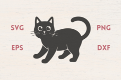 Cute Cat with big eyes Product Image 1