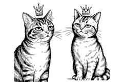 4 Cute cat in crown meme Product Image 4