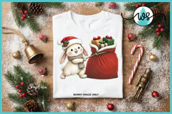 Cute Christmas Bunny PNG Printable Clipart Product Image 12
