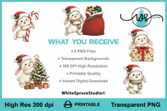 Cute Christmas Bunny PNG Printable Clipart Product Image 2