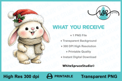 Cute Christmas Bunny PNG Printable Clipart Product Image 2