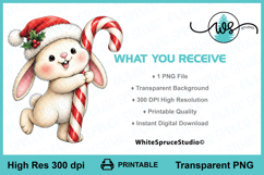 Cute Christmas Bunny with Candy Cane PNG Printable Clipart Product Image 2