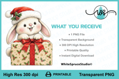 Cute Christmas Bunny Wrapping Gift PNG Printable Clipart Product Image 2
