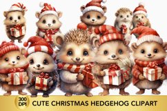 Cute Christmas Hedgehog Clipart, Hedgehog sublimation Bundle Product Image 1