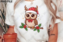 Cute Christmas Owl Clipart Sublimation Product Image 2
