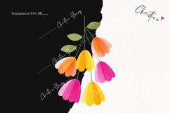 Cute Cinco De Mayo Clipart | Cinco De Mayo PNG Product Image 2