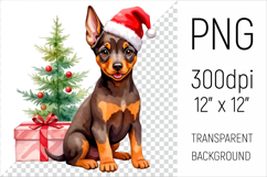 Cute Doberman Pinscher Puppy  with Santa Hat. Perfect for sublimation, greeting cards, stickers, planners, DIY gifts, and all your holiday projects!
