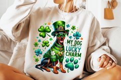 St Patrick&#039;s Day Dog PNG, My Dog Is My Lucky Charm PNG, Dog Product Image 2