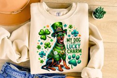 St Patrick&#039;s Day Dog PNG, My Dog Is My Lucky Charm PNG, Dog Product Image 3