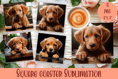 Cute dog Square Coaster Sublimation Design Product Image 1