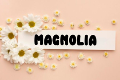 Cute Doggie Product Image 2