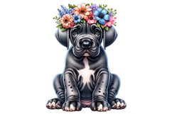 cute dogs clipart sublimation watercolor animals clipart png woodland animals puppy dog clipart 