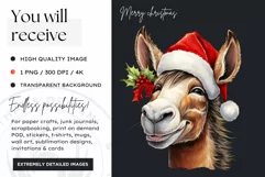 Cute Donkey clipart, Christmas Animals PNG for Sublimation Product Image 2