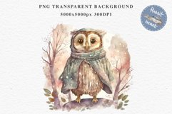 Cute Fantasy Owl Bird Clipart PNG Scrapbooking Nursery Fairy Tale Art Image Watercolor Transparent Print illustration designs sublimation kids printable digital watercolor fantasy Owl Bird, fairy tales clipart, sublimation nursery wall art, cute children 