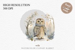 watercolor fantasy Owl Bird, fairy tales clipart, sublimation nursery wall art, cute children Cute Fantasy Owl Bird Clipart PNG Scrapbooking Nursery Fairy Tale Art Image Watercolor Transparent Print illustration designs sublimation kids printable digital