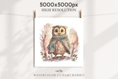 Cute Fantasy Owl Bird Clipart PNG Scrapbooking Nursery Fairy Tale Art Image Watercolor Transparent Print illustration designs sublimation kids printable digital watercolor fantasy Owl Bird, fairy tales clipart, sublimation nursery wall art, cute children 