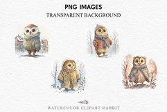 watercolor fantasy Owl Bird, fairy tales clipart, sublimation nursery wall art, cute children Cute Fantasy Owl Bird Clipart PNG Scrapbooking Nursery Fairy Tale Art Image Watercolor Transparent Print illustration designs sublimation kids printable digital