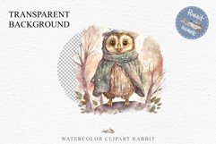Cute Fantasy Owl Bird Clipart PNG Scrapbooking Nursery Fairy Tale Art Image Watercolor Transparent Print illustration designs sublimation kids printable digital watercolor fantasy Owl Bird, fairy tales clipart, sublimation nursery wall art, cute children 