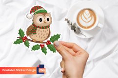 Cute fluffy owl sticker, Owl branch sticker, Bird sticker Product Image 1