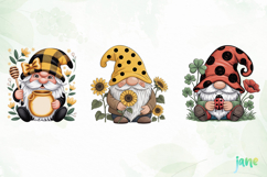 Cute Gnome in Summer Product Image 6