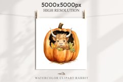 watercolor halloween baby highland cow, spooky clipart, Cute nursery, Creepy decoration art image Cute Halloween Baby Highland Cow Clipart PNG Scrapbooking  Tale Art Image Watercolor Transparent Print illustration sublimation creepy printable digital