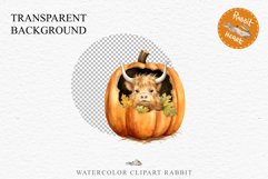Cute Halloween Baby Highland Cow Clipart PNG Scrapbooking Tale Art Image Watercolor Transparent Print illustration sublimation creepy printable digital watercolor halloween baby highland cow, spooky clipart, Cute nursery, Creepy decoration art image