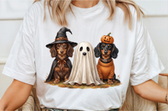 Cute Halloween Dachshund PNG Product Image 2