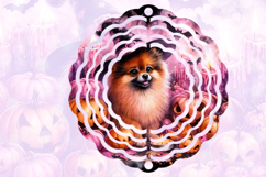 Cute halloween pomeranian dog Product Image 3