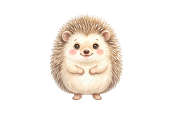 Cute Hedgehog Png | Cute Safari Png Product Image 1