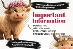 Cute Highland Cow Clipart Bundle 24 PNG Product Image 5