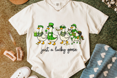 Just A Lucky Goose St Patrick's Day PNG, Funny Goose PNG Product Image 5