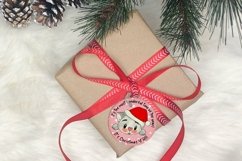 The Most Wonderful Time Of The Year Ornament With Kitten Product Image 2