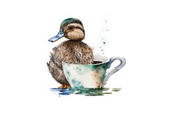 Duck, Flying, Pet, Swim ,Wildlife, Feather, Male, Bird Fowl, Isolated, Wild Animal ,Cute ,Drake, Nature, Ornithology, Farm ,Flight ,Paint, Profile Splash, Watercolor ,Wing ,Drawing, Hunting, Abstract, Goose ,Poultry ,Studio, White, Avian ,Beak, Beauty, Co