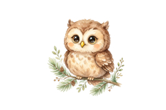 Cute Owl Png | Cute Safari Png Product Image 1