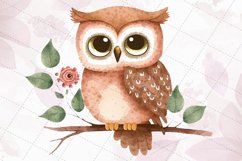 Cute Owl Watercolor Sublimation Clipart Product Image 5