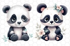 Cute Panda Bear Watercolor Clipart Designs