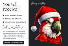 Cute Parrot Clipart, Christmas Animal PNG for Sublimation Product Image 2