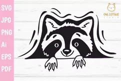 Cute Peeking Racoon SVG  