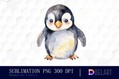 Cute Penguin Watercolor Clipart Product Image 1