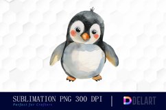 Cute Penguin Watercolor Clipart Product Image 1