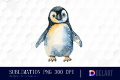 Cute Penguin Watercolor Clipart Product Image 1