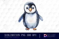 Cute Penguin Watercolor Clipart Product Image 1