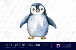 Cute Penguin Watercolor Clipart Product Image 1