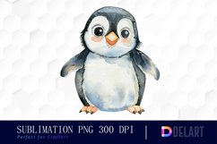 Cute Penguin Watercolor Clipart Product Image 1